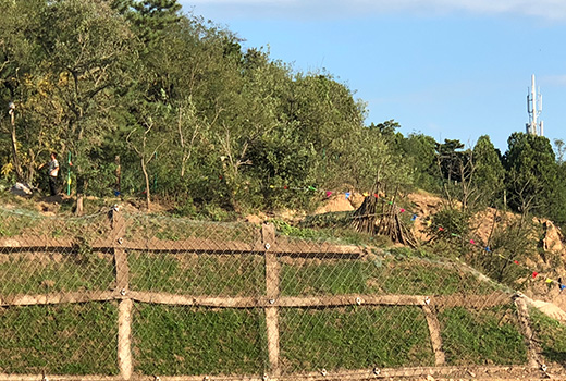 北嶺山山體加固與復綠工程